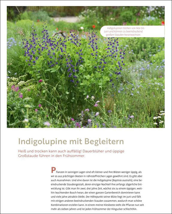 Echte Hitzeprofis