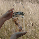 Sonnenglas