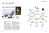 Das Buch der Gartenvögel