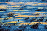 60 Jahre Wildlife Fotografien des Jahres