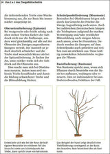 Handbuch Pflanzenschnitt